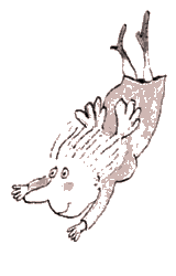 Illustrations copyright Gunilla Wolde